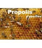 Propolis un aliment (alicament) naturel efficace pour se protéger des germes qu'on attrappent par contact ou dans l'environnement  et ainsi retrouver une bonne santé